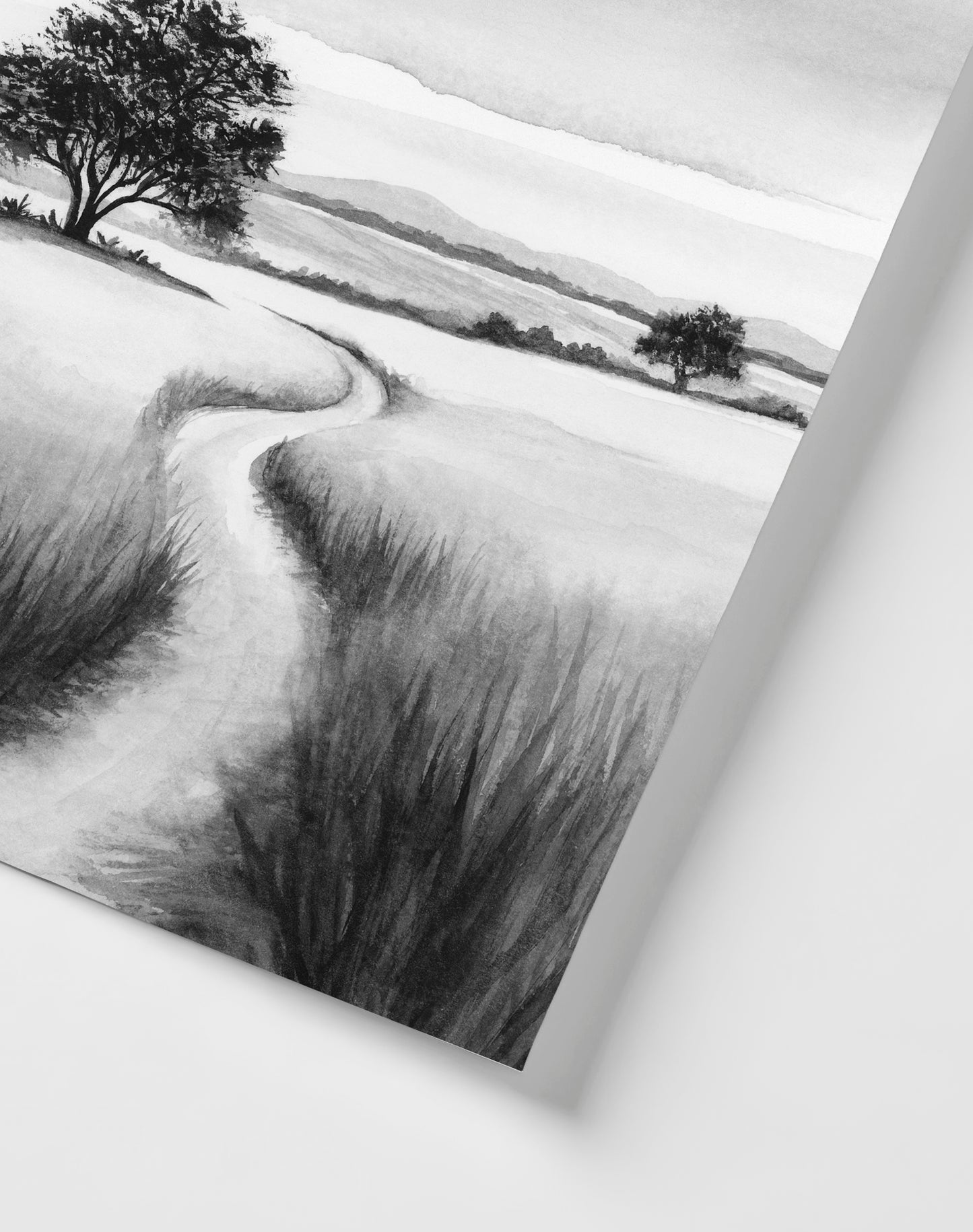 Rooted Shadows IV - Art Print