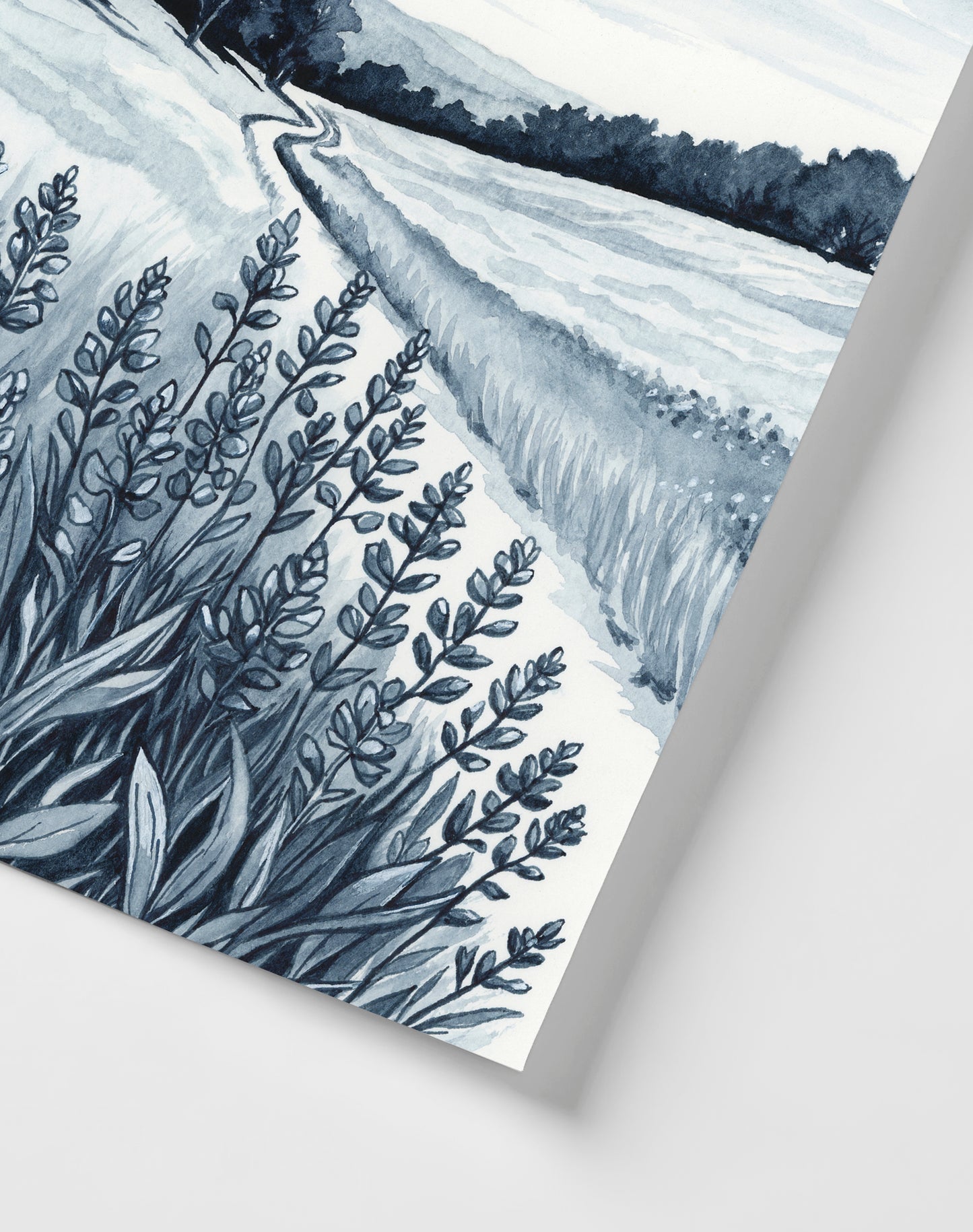 Bluebonnet Bliss I