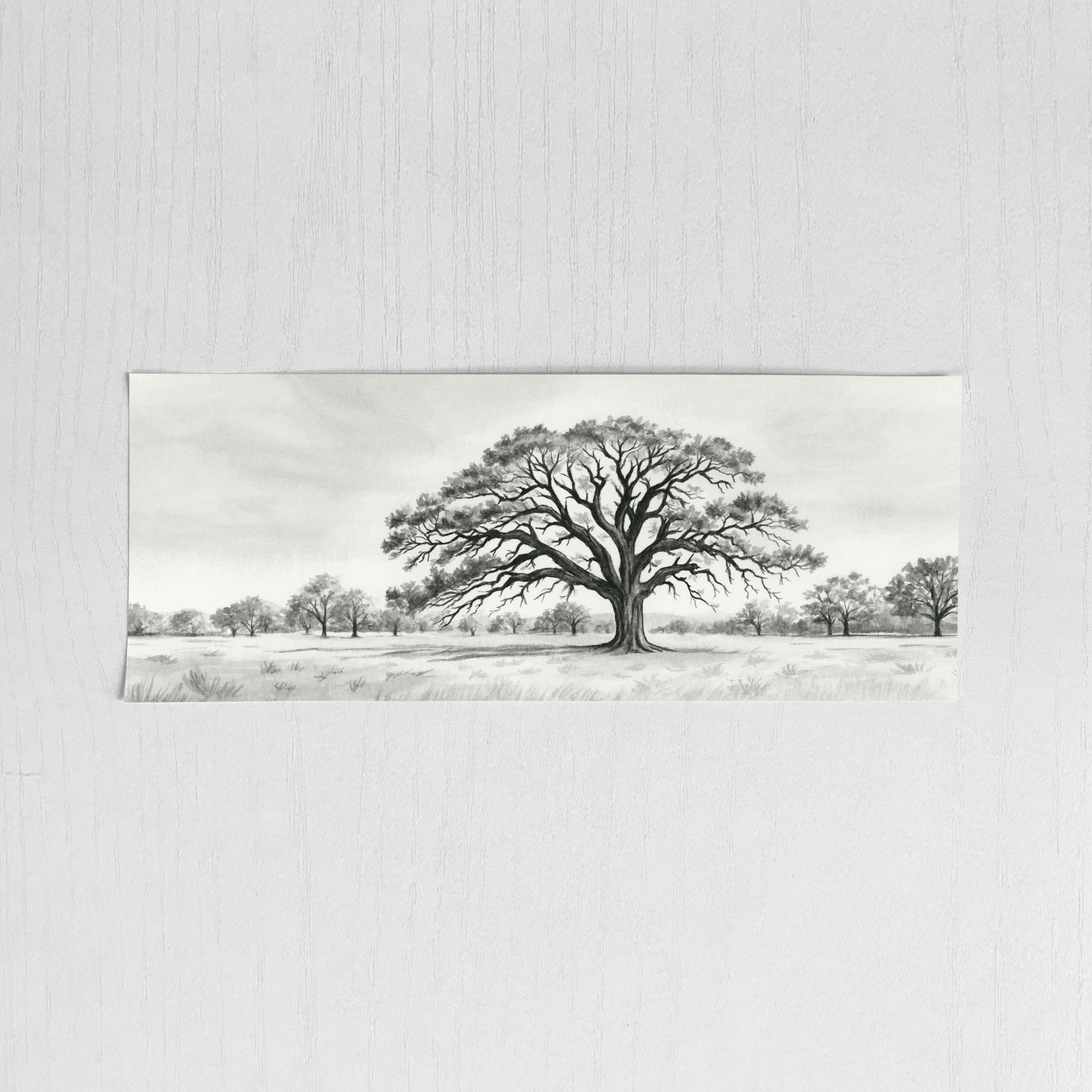 Grace グレース　洋書 Grounded Grace IV – Rachel Elise Art