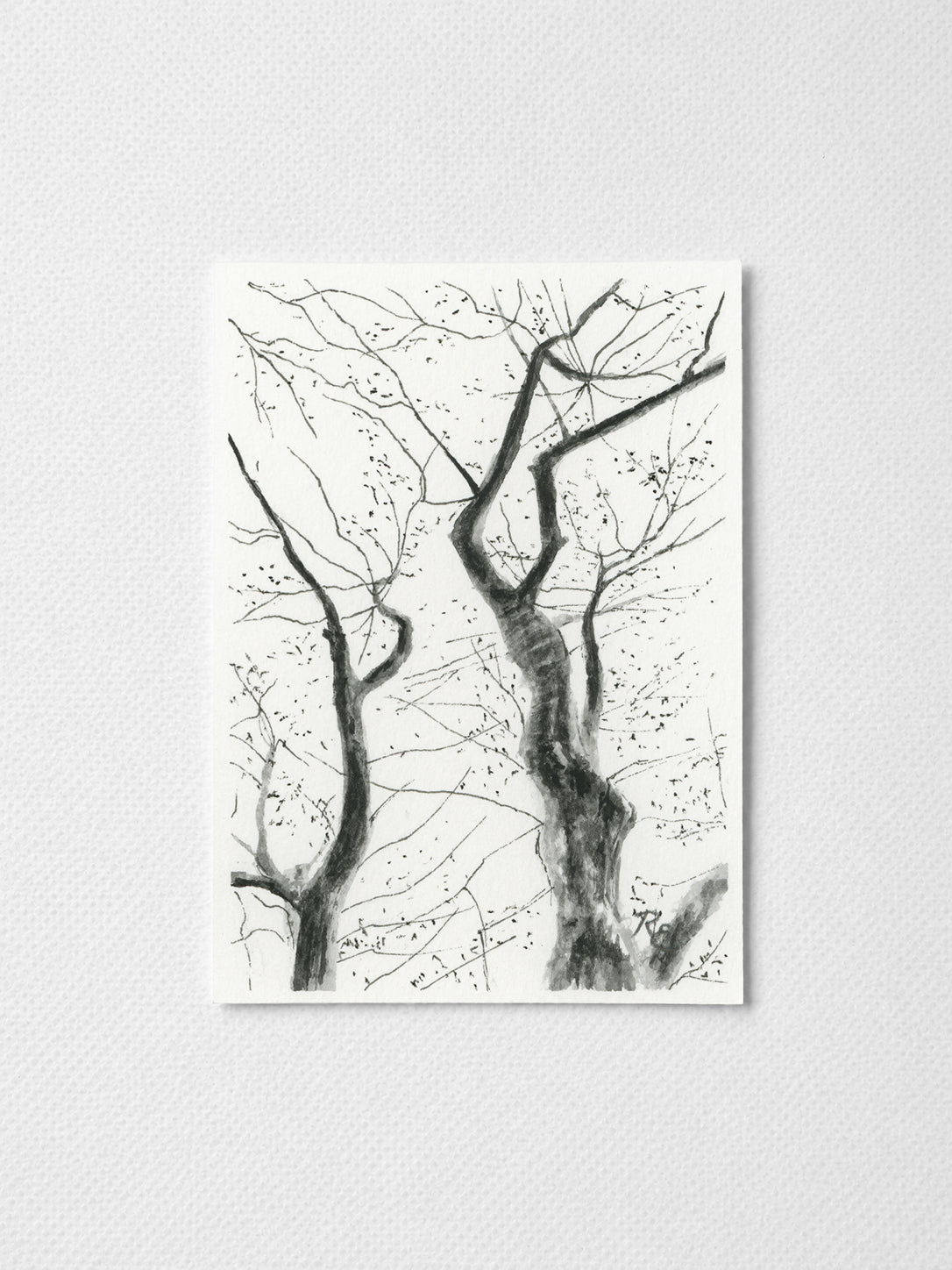Tree Branches Black II