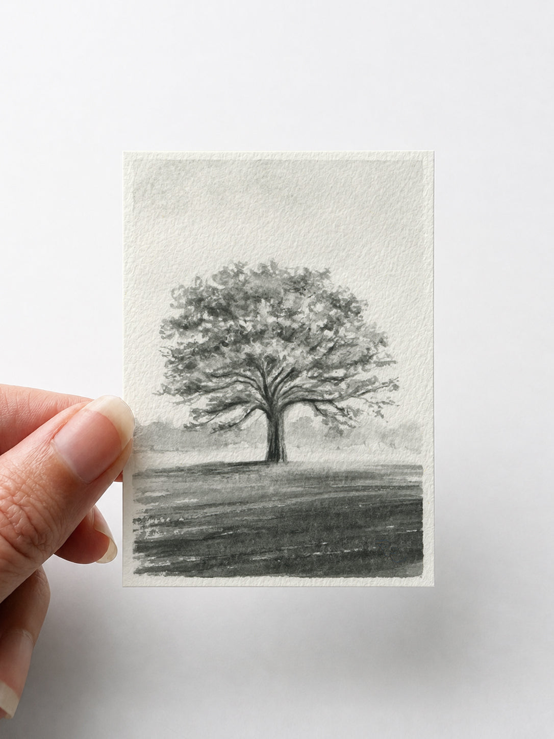 Oak Tree Black I