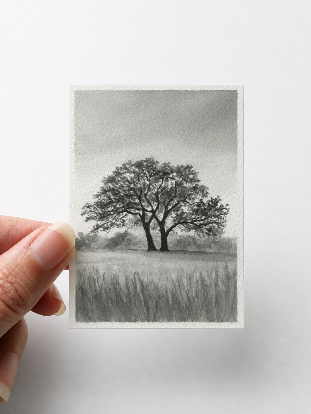 Oak Tree Black III