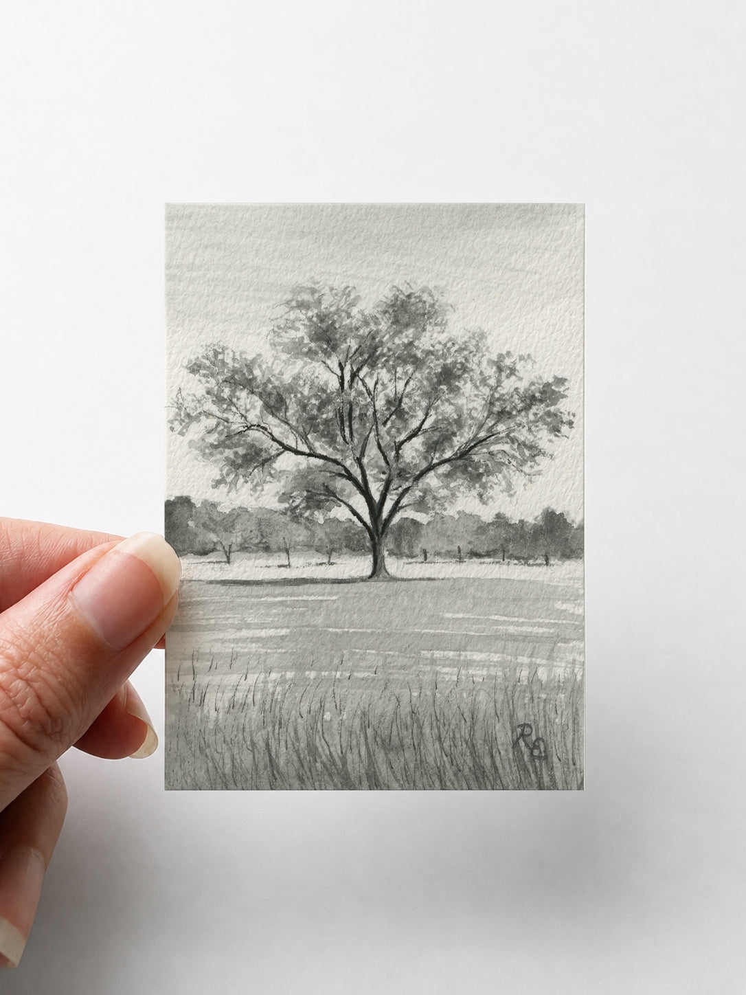 Oak Tree Black II