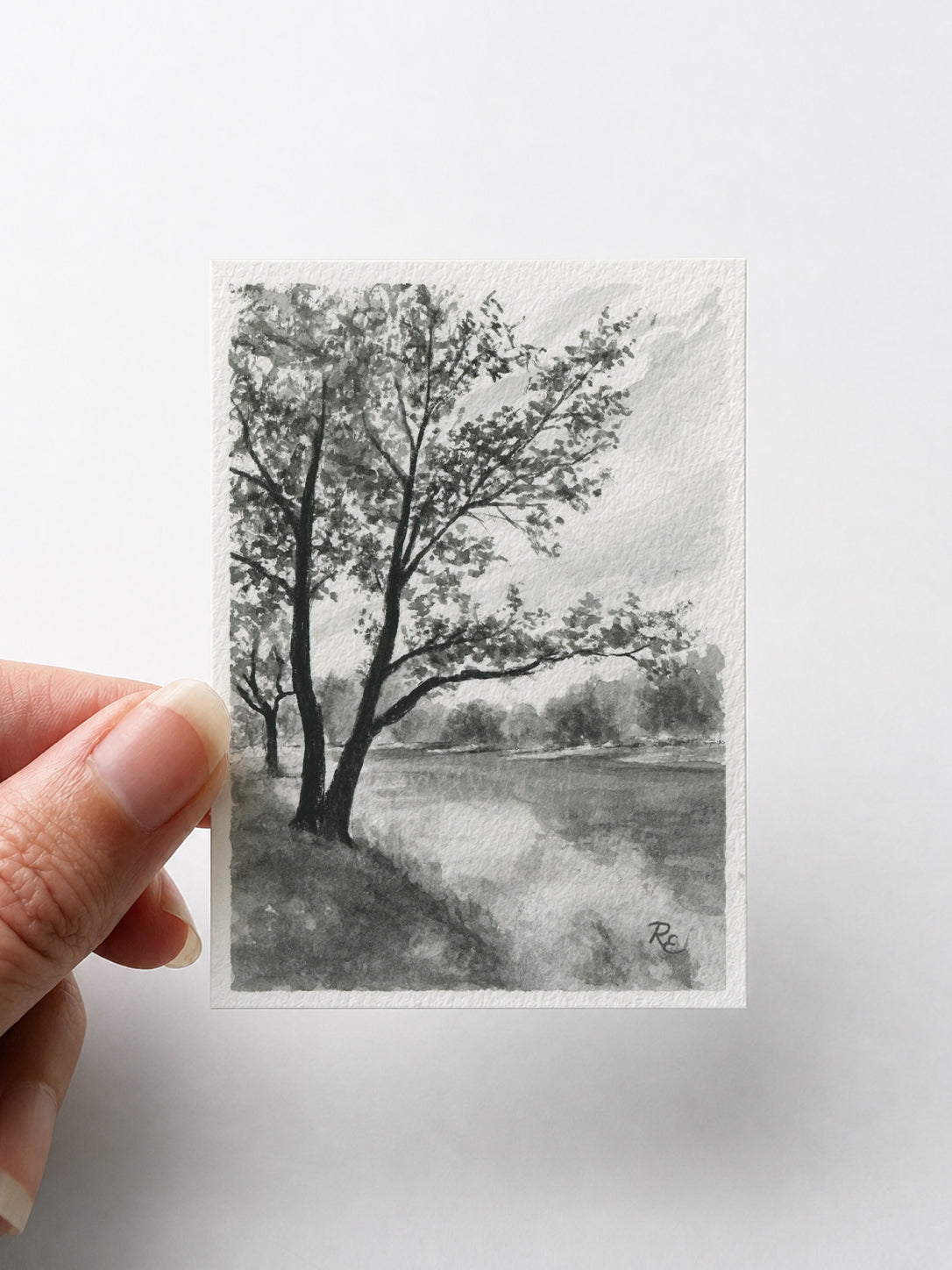 Trees on River Black II