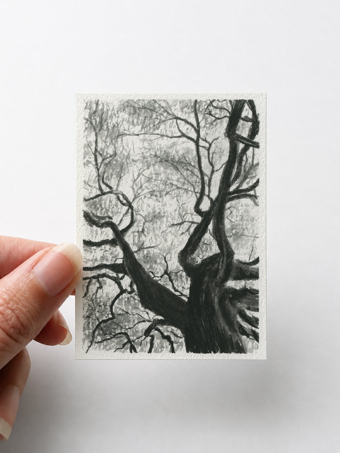 Tree Branches Black I