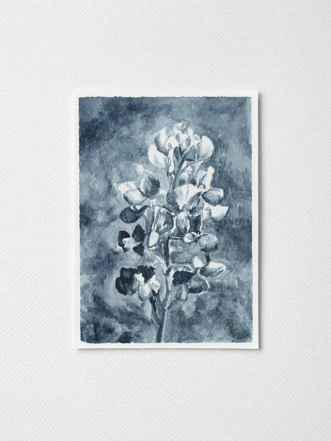 Bluebonnet Field II
