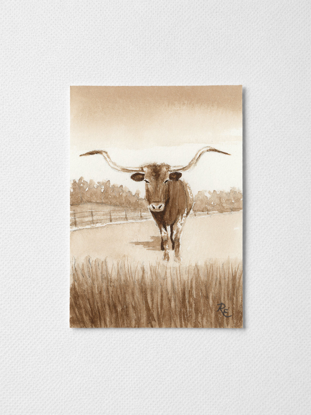 Longhorn Brown I
