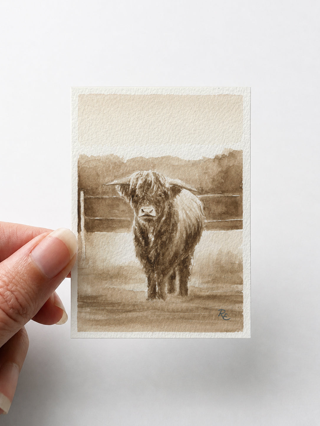 Highland Cow Brown I