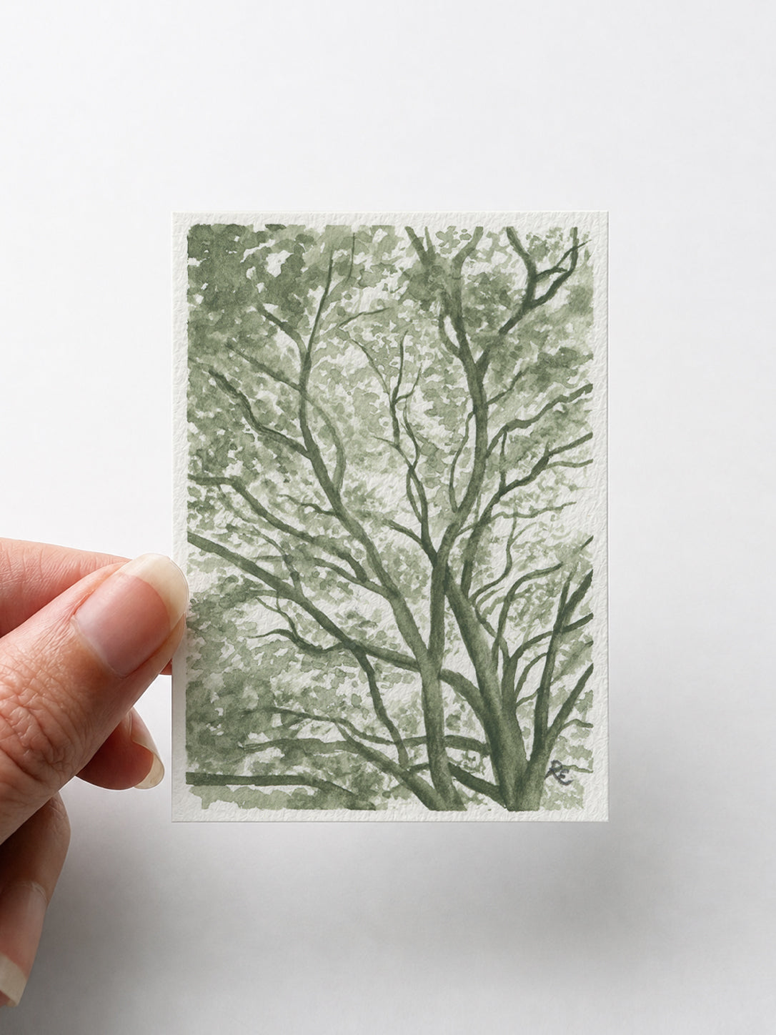 Tree Branches Green I