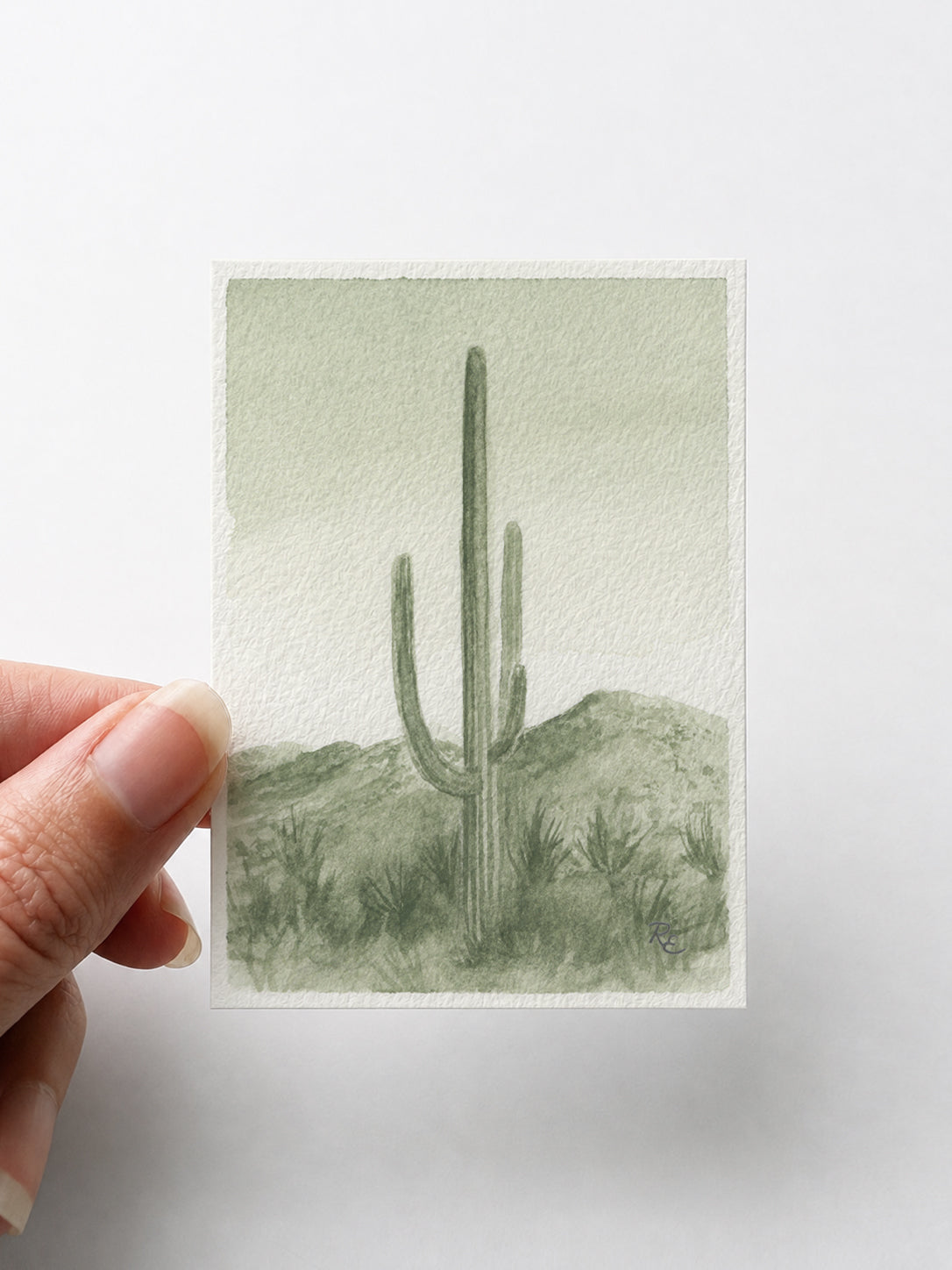Saguaro Desert Green II