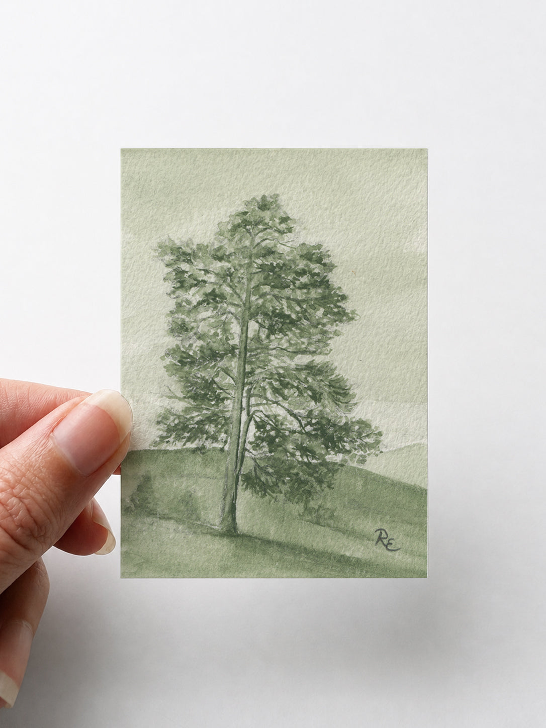 Pine Tree Green I