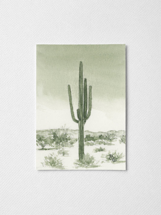 Green Saguaro Desert I