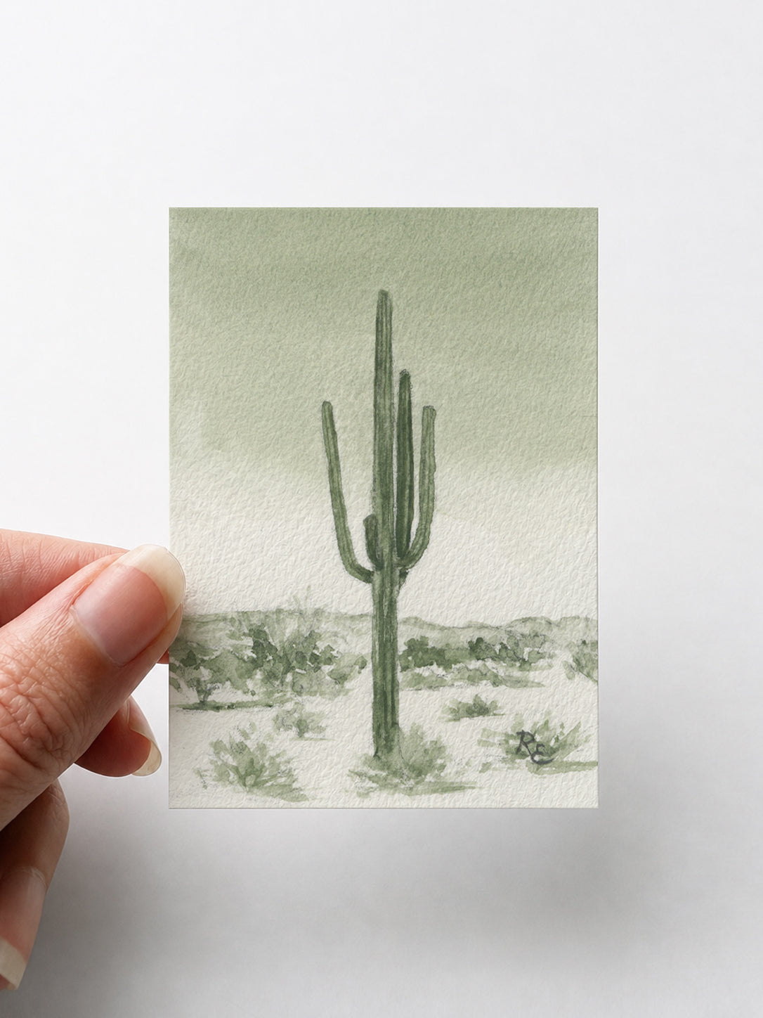 Saguaro Desert Green I