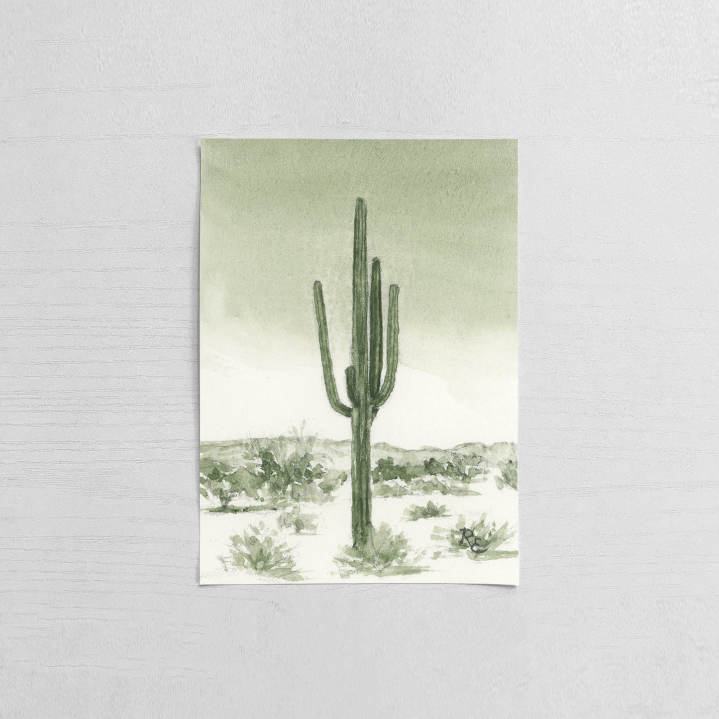 Green Saguaro Desert I