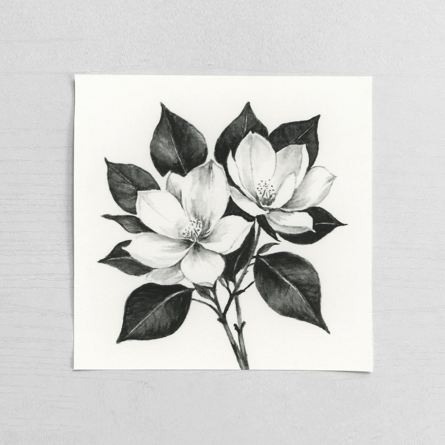 Black Magnolia I - Mini