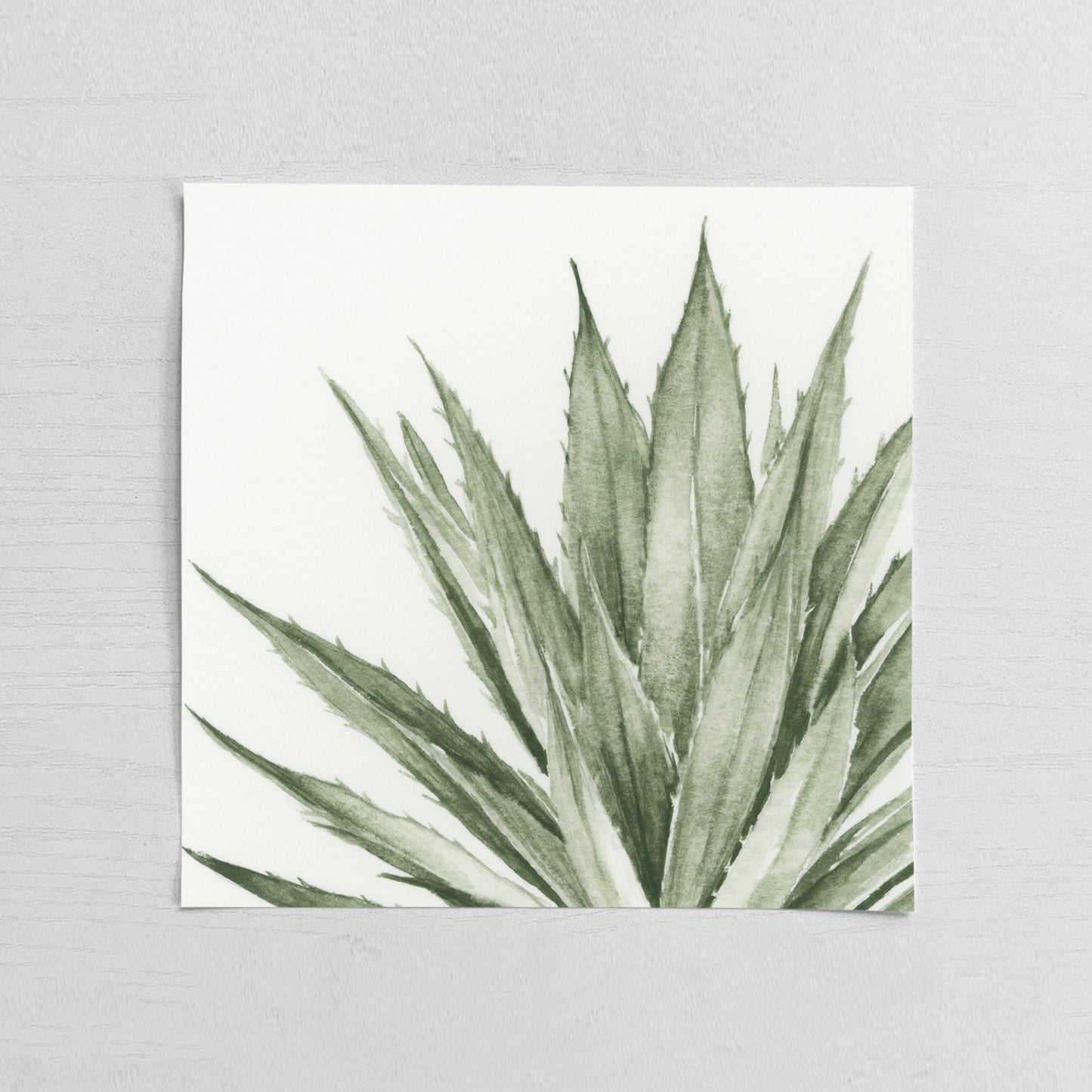 Green Agave I - Mini