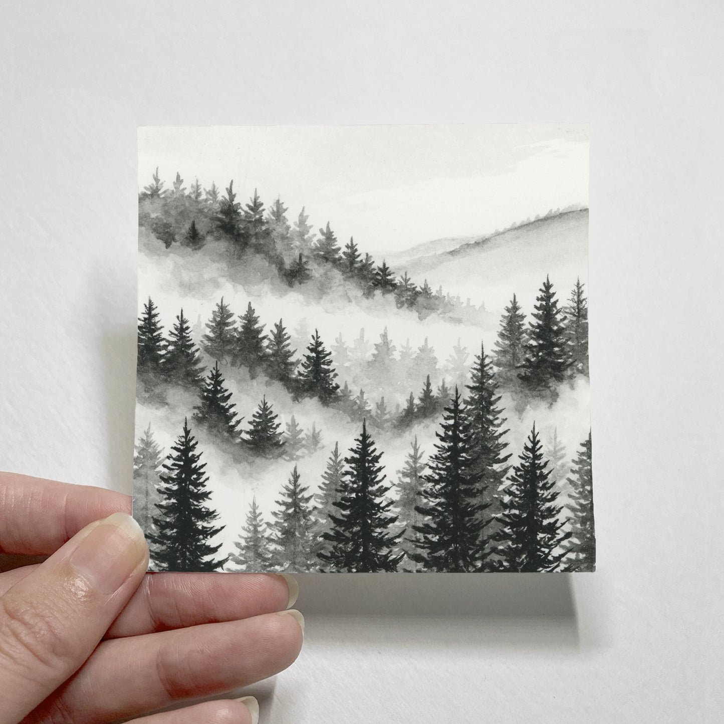 Black Foggy Forest I - Mini
