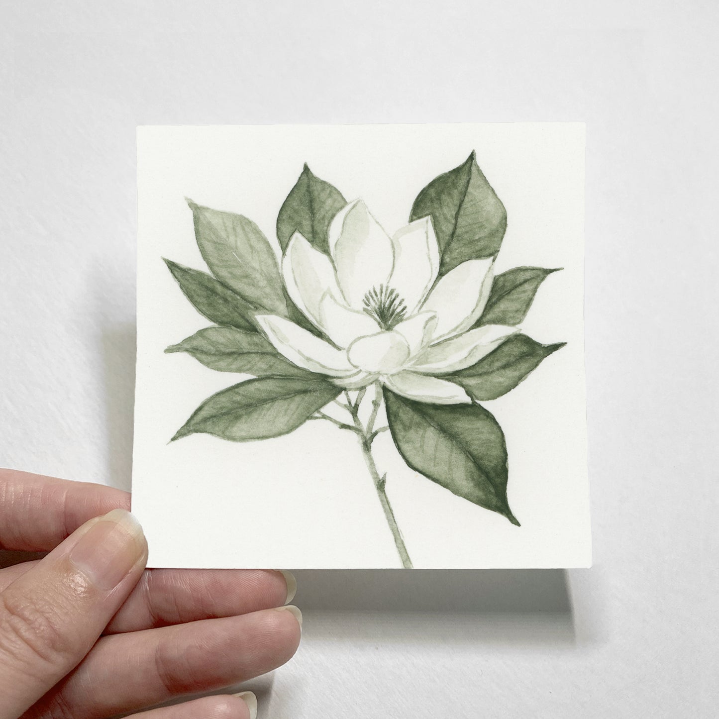 Green Magnolia I - Mini