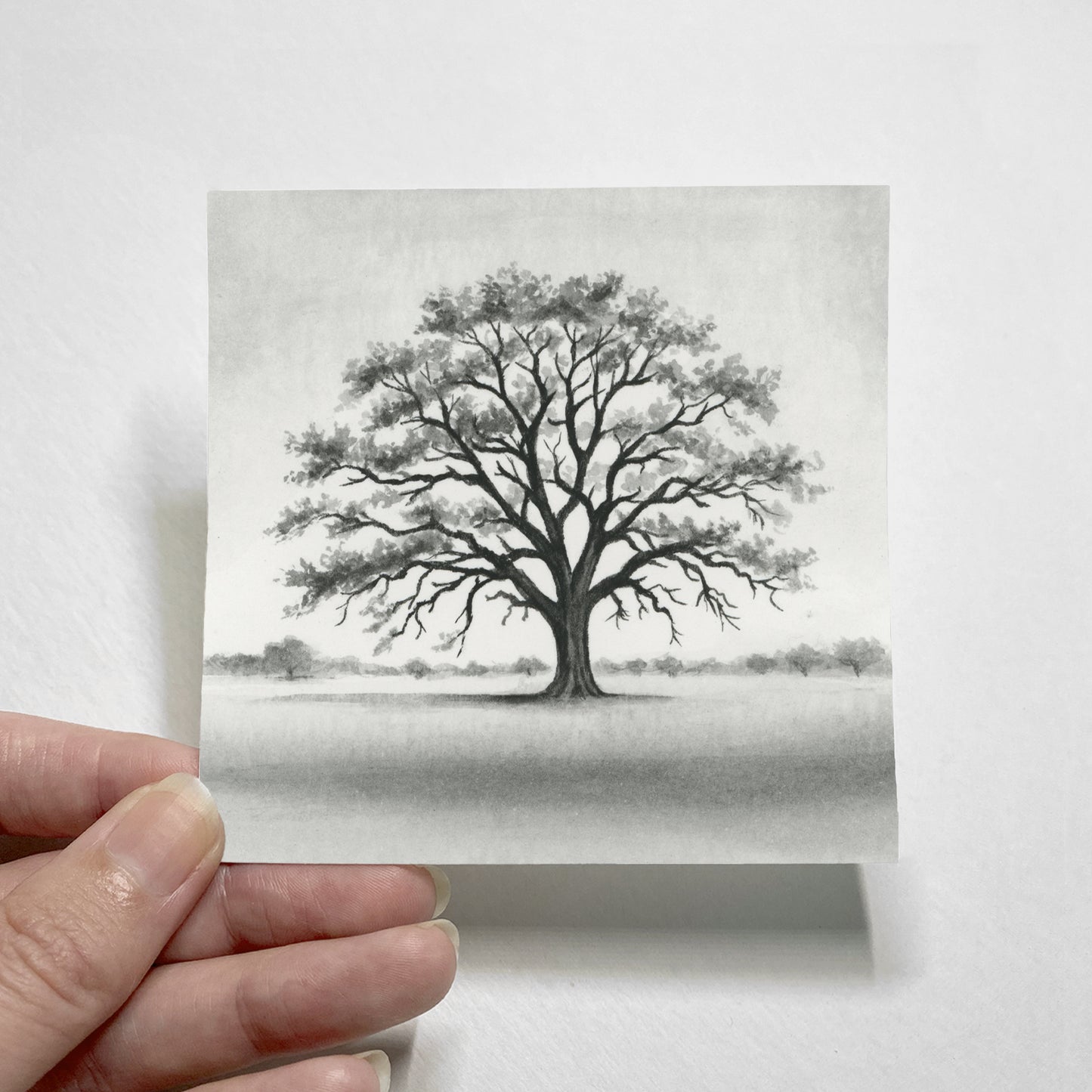 Black Oak Tree I - Mini