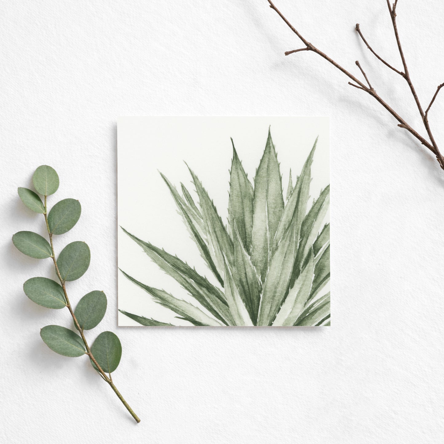 Green Agave I - Mini