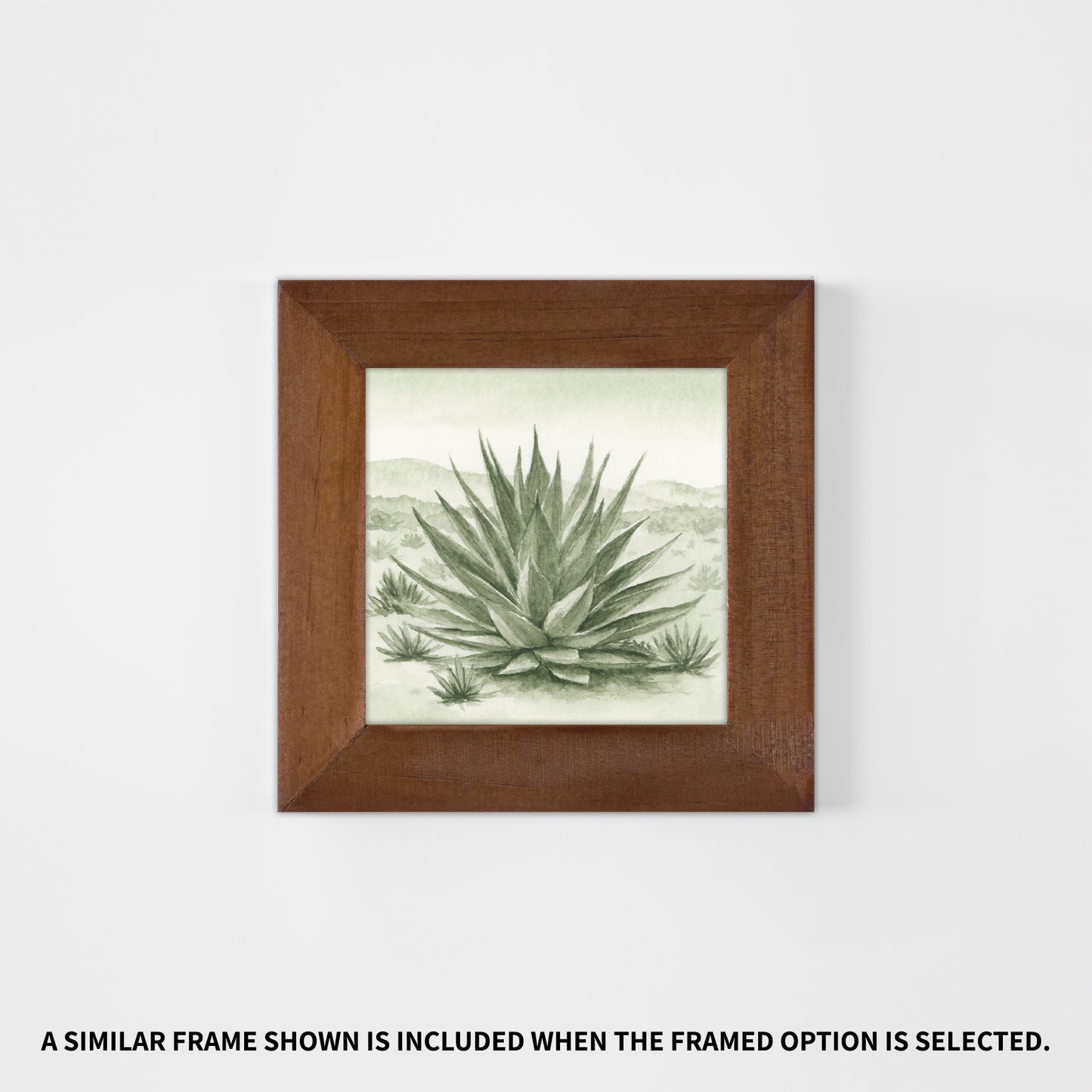 Green Agave II - Mini