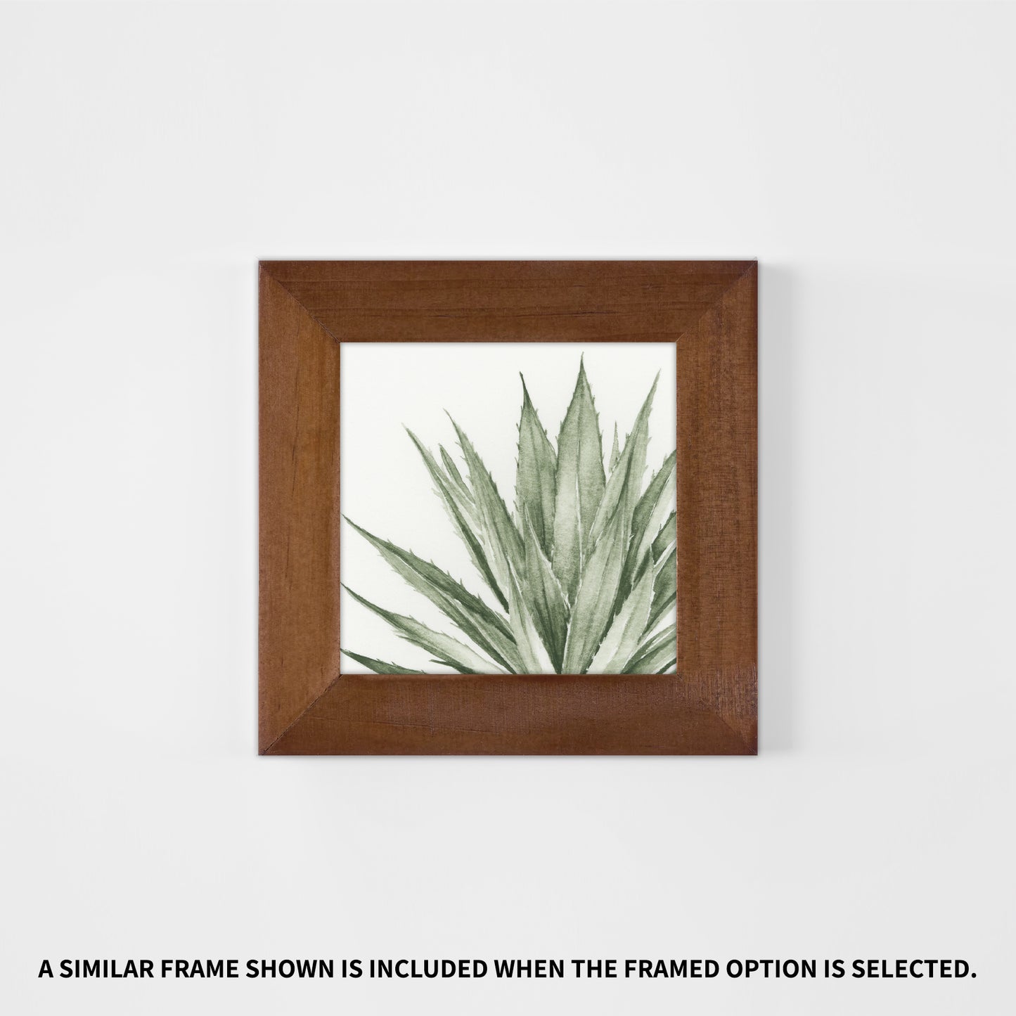 Green Agave I - Mini