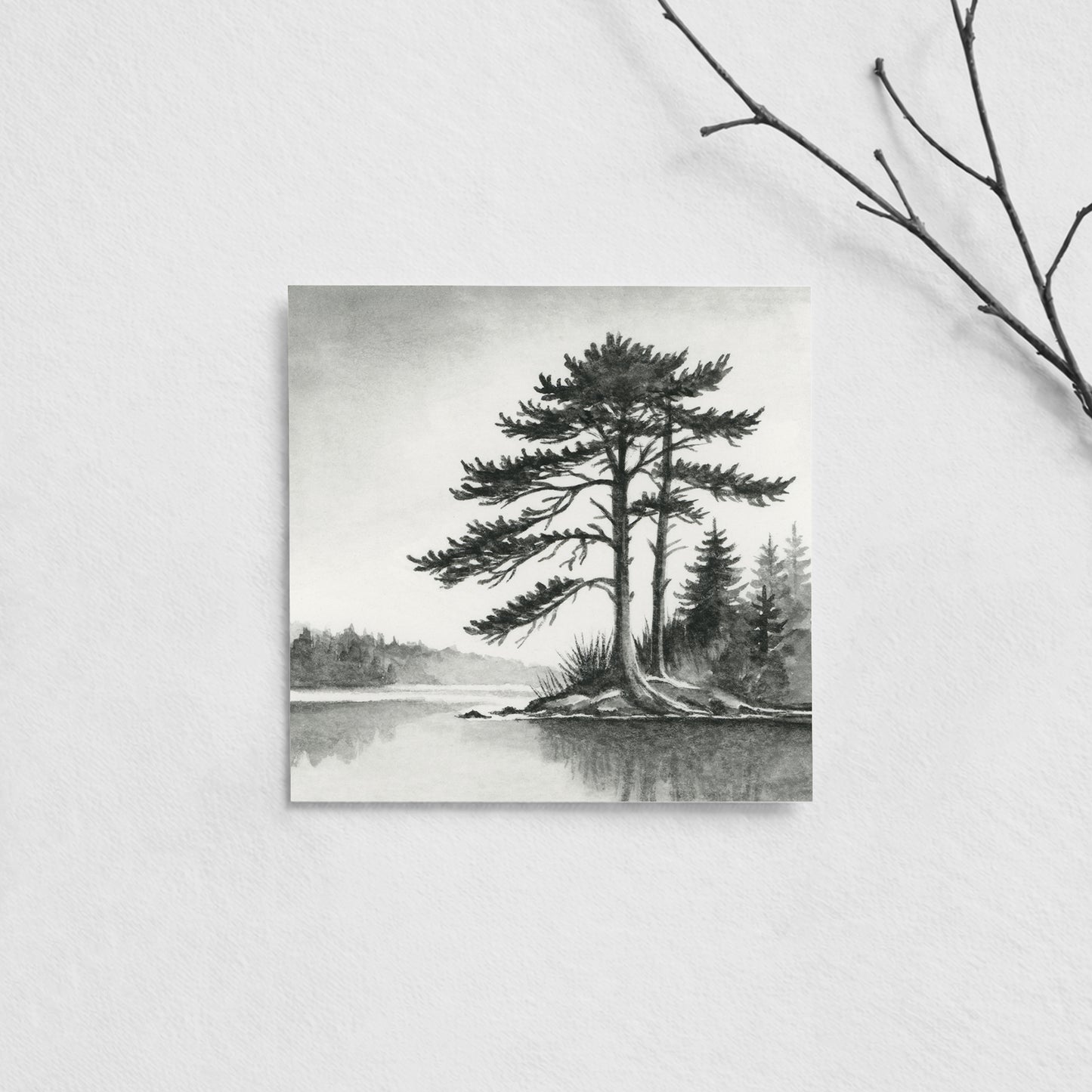 Black Cypress I - Mini
