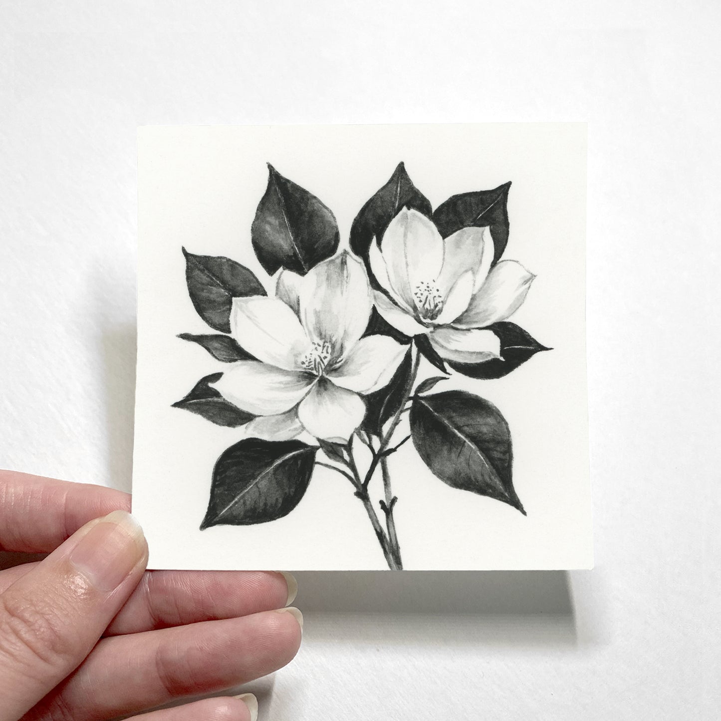 Black Magnolia I - Mini
