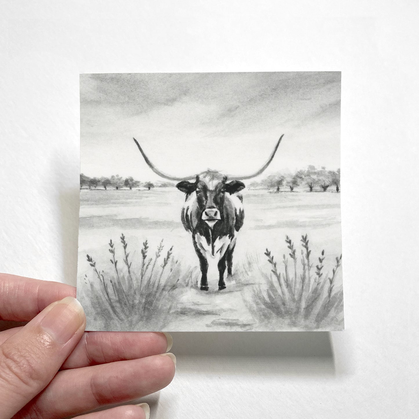 Black Longhorn I - Mini