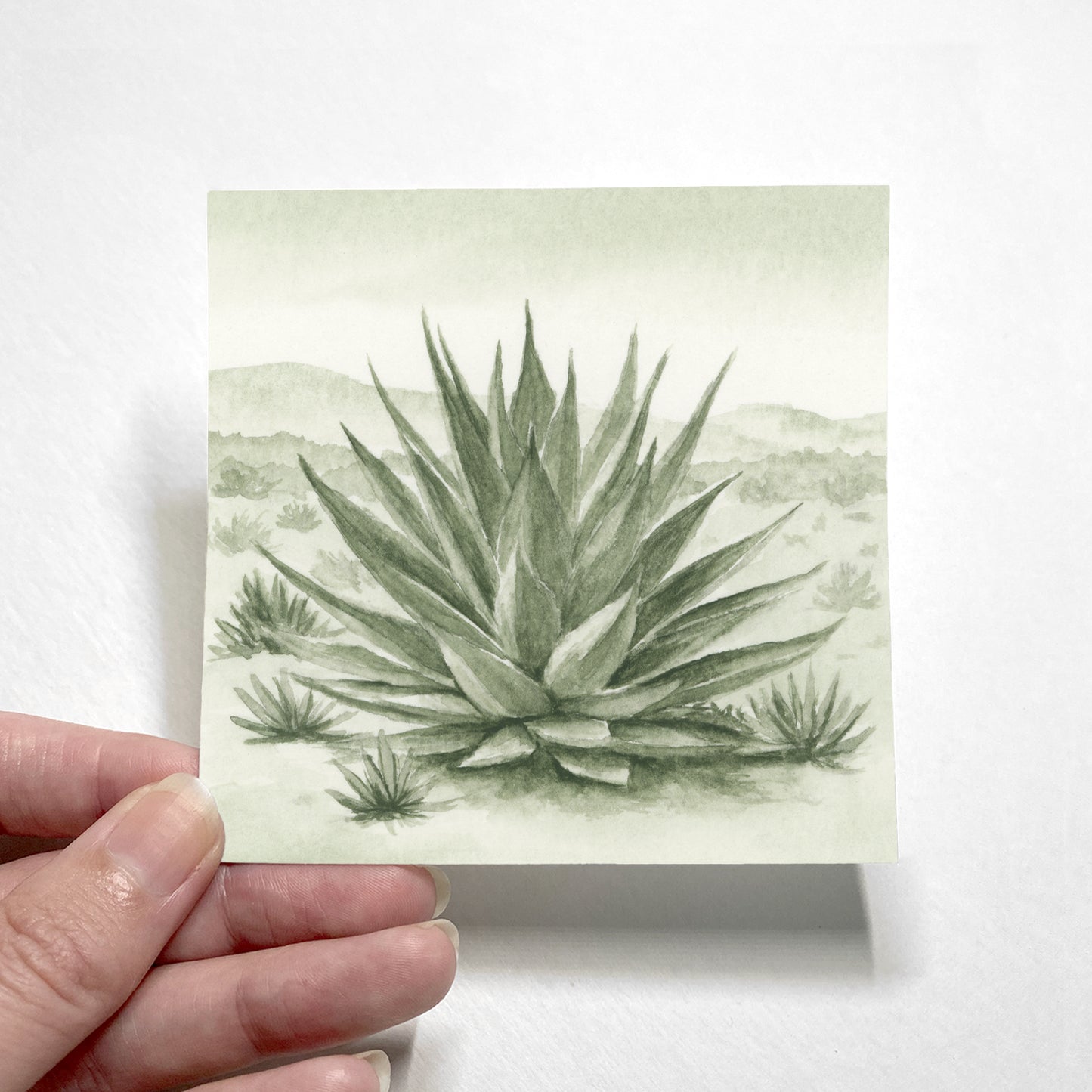 Green Agave II - Mini