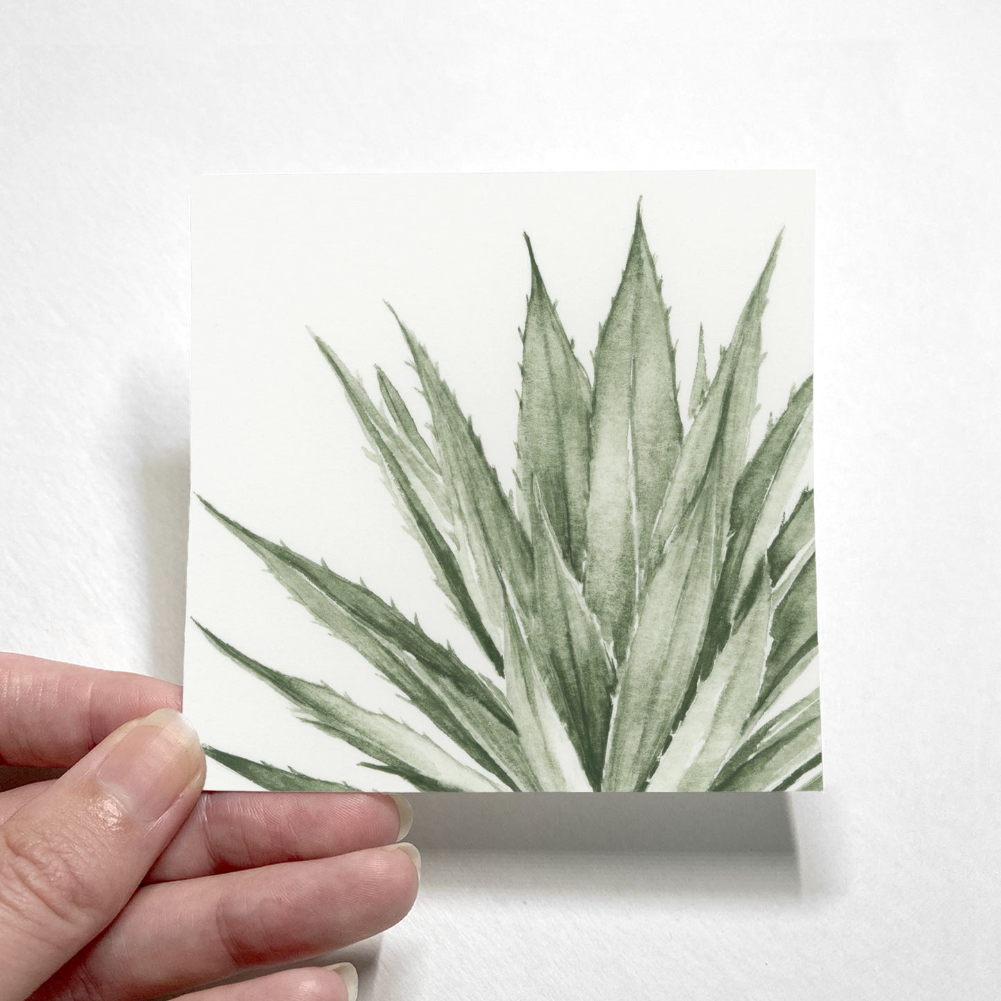 Green Agave I - Mini