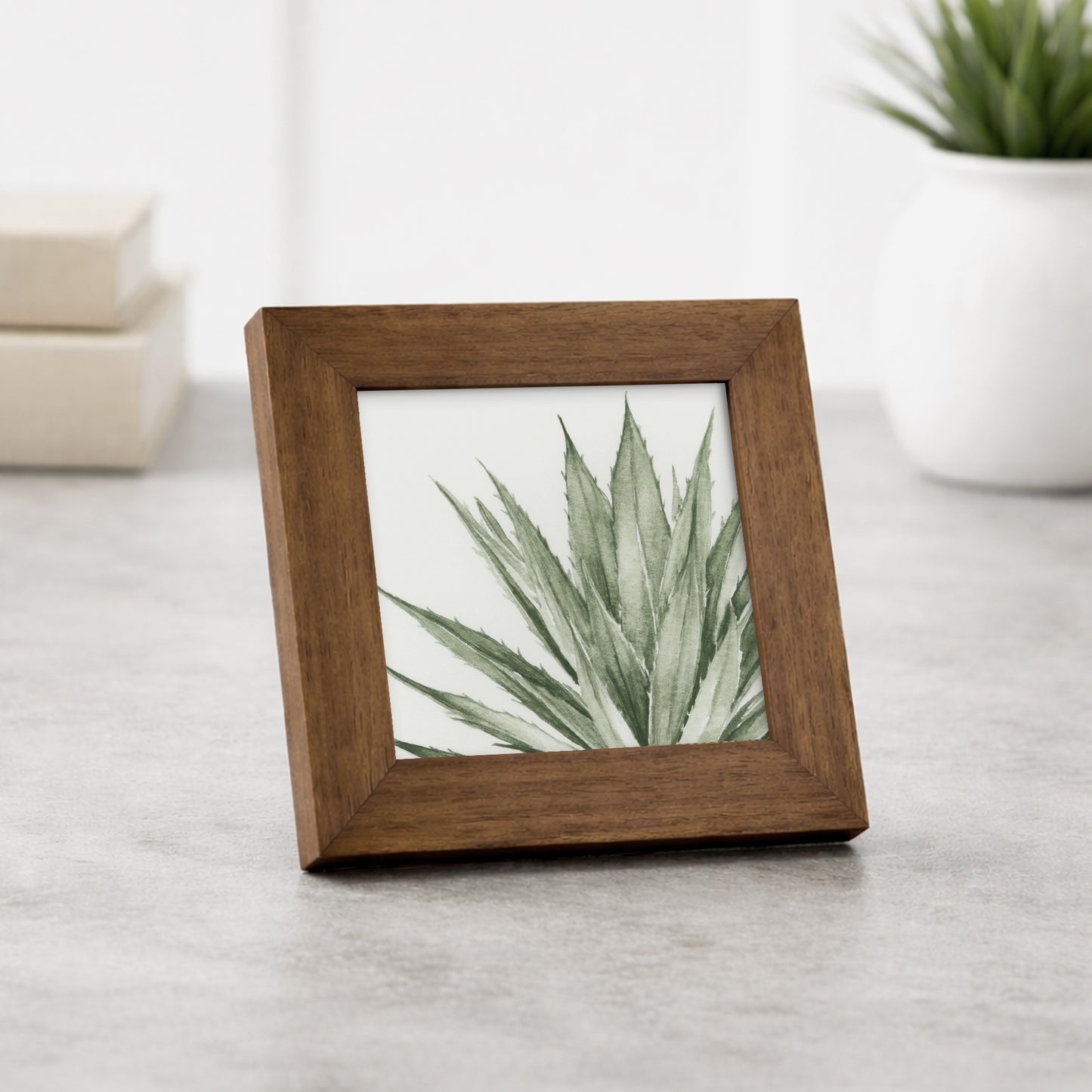 Green Agave I - Mini