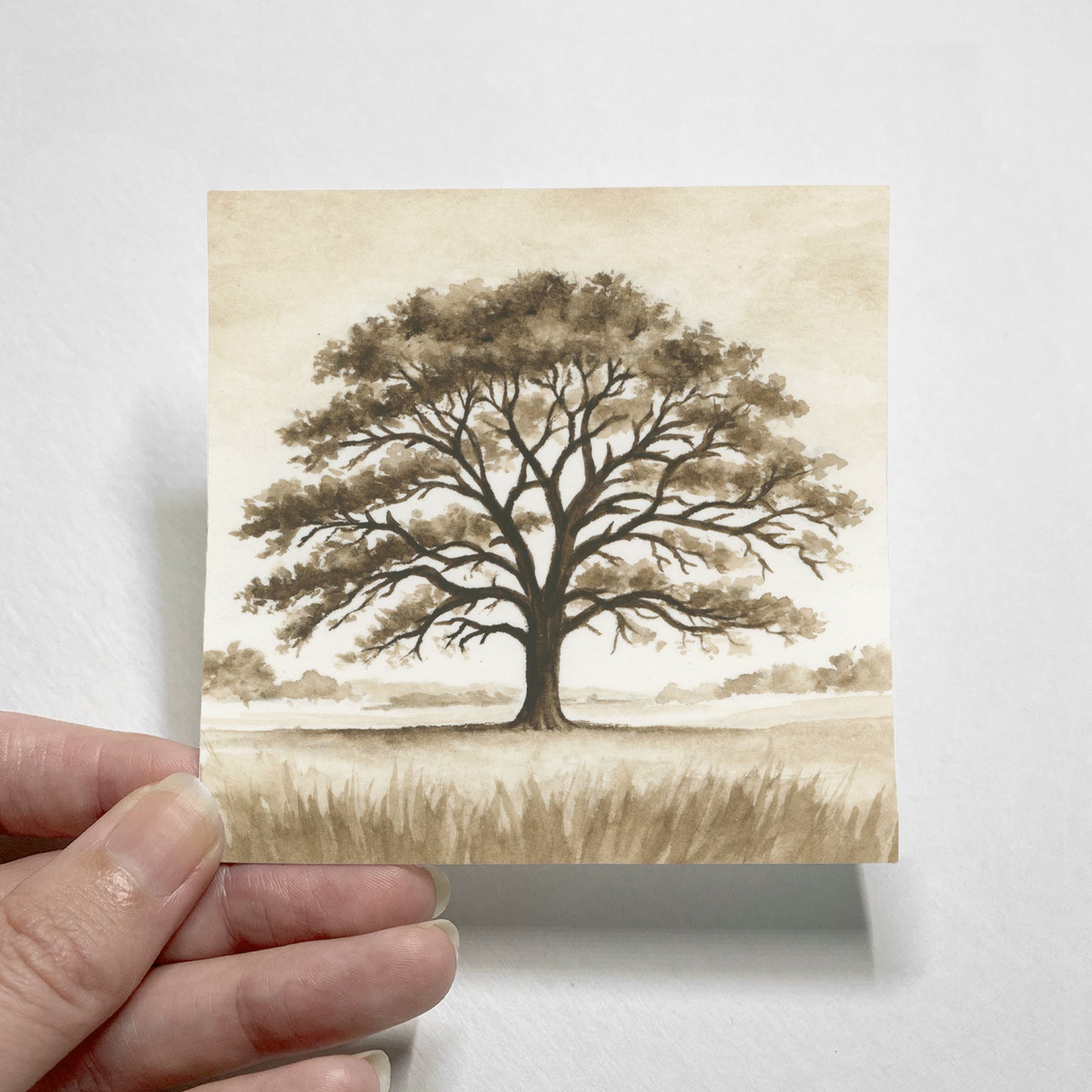 Brown Oaks I - Mini