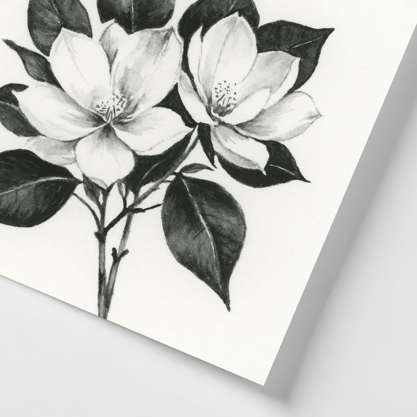 Black Magnolia I - Mini