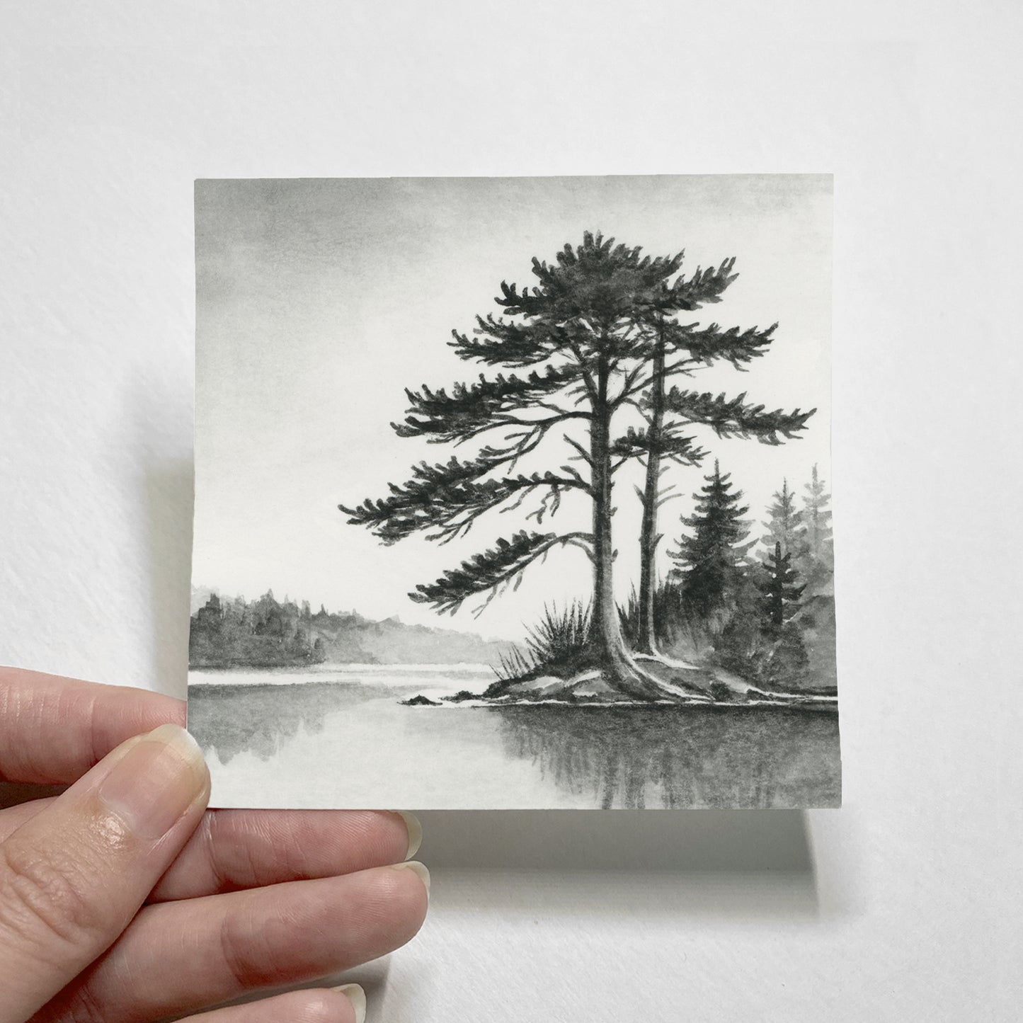Black Cypress I - Mini