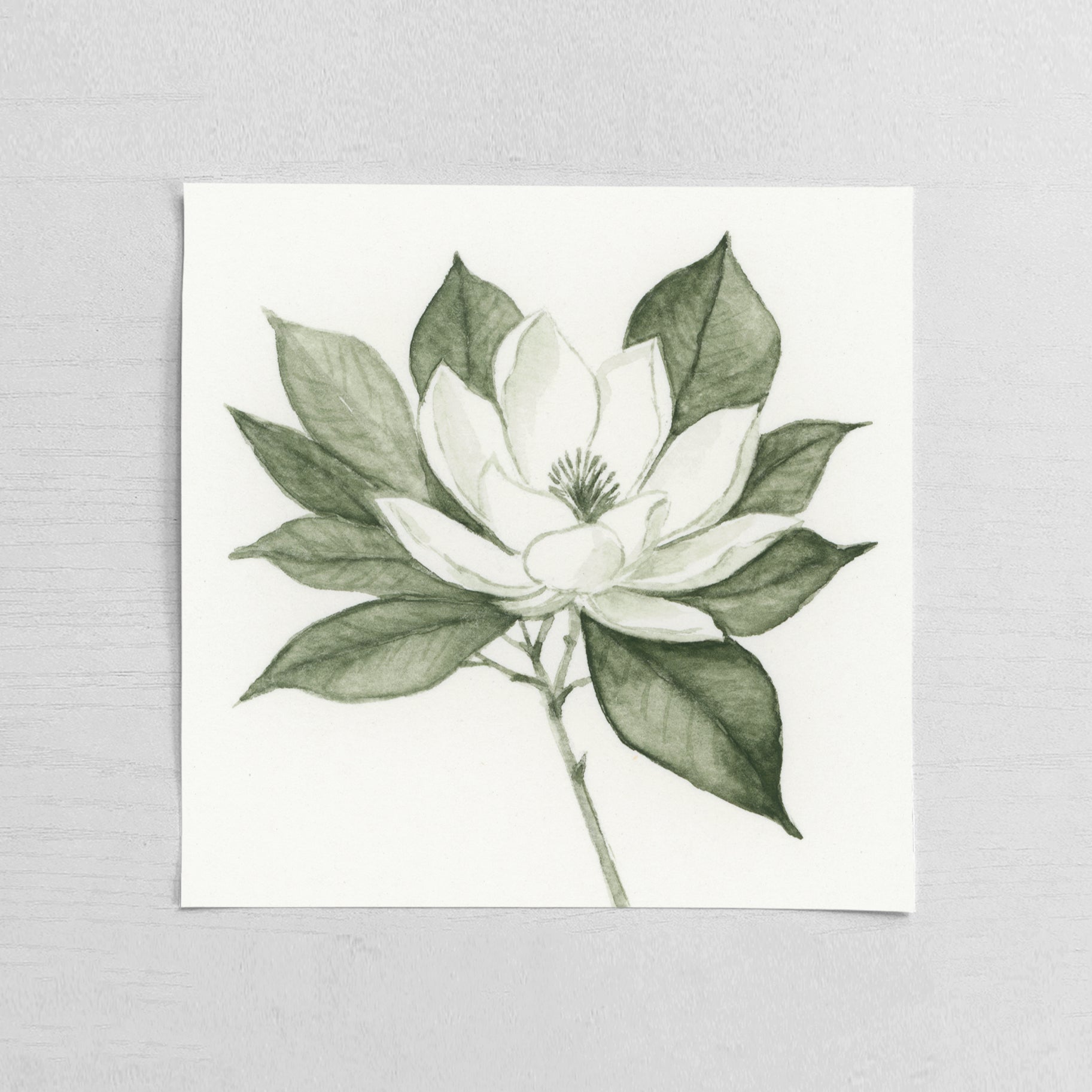 Green Magnolia I - Mini – Rachel Elise Art