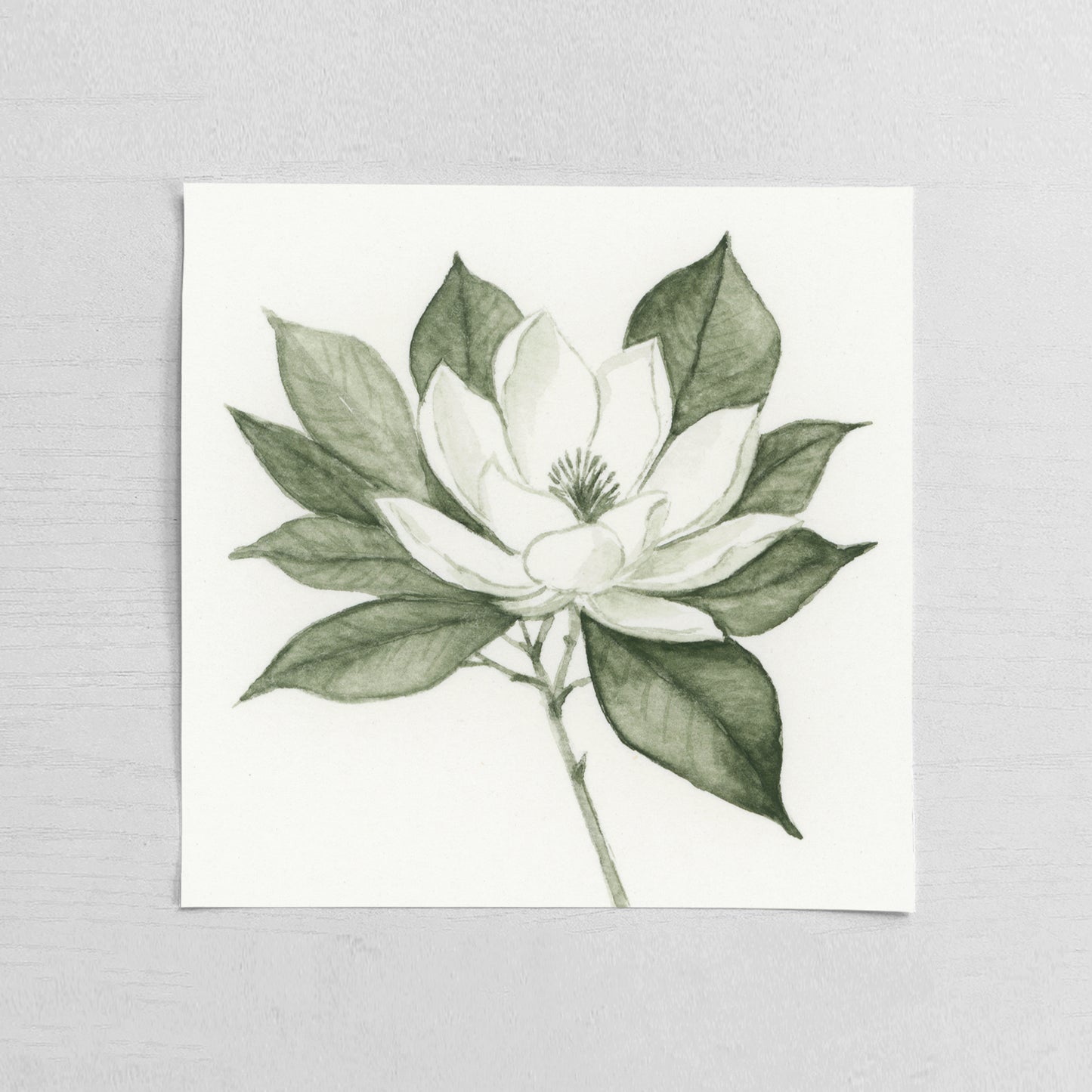 Green Magnolia I - Mini