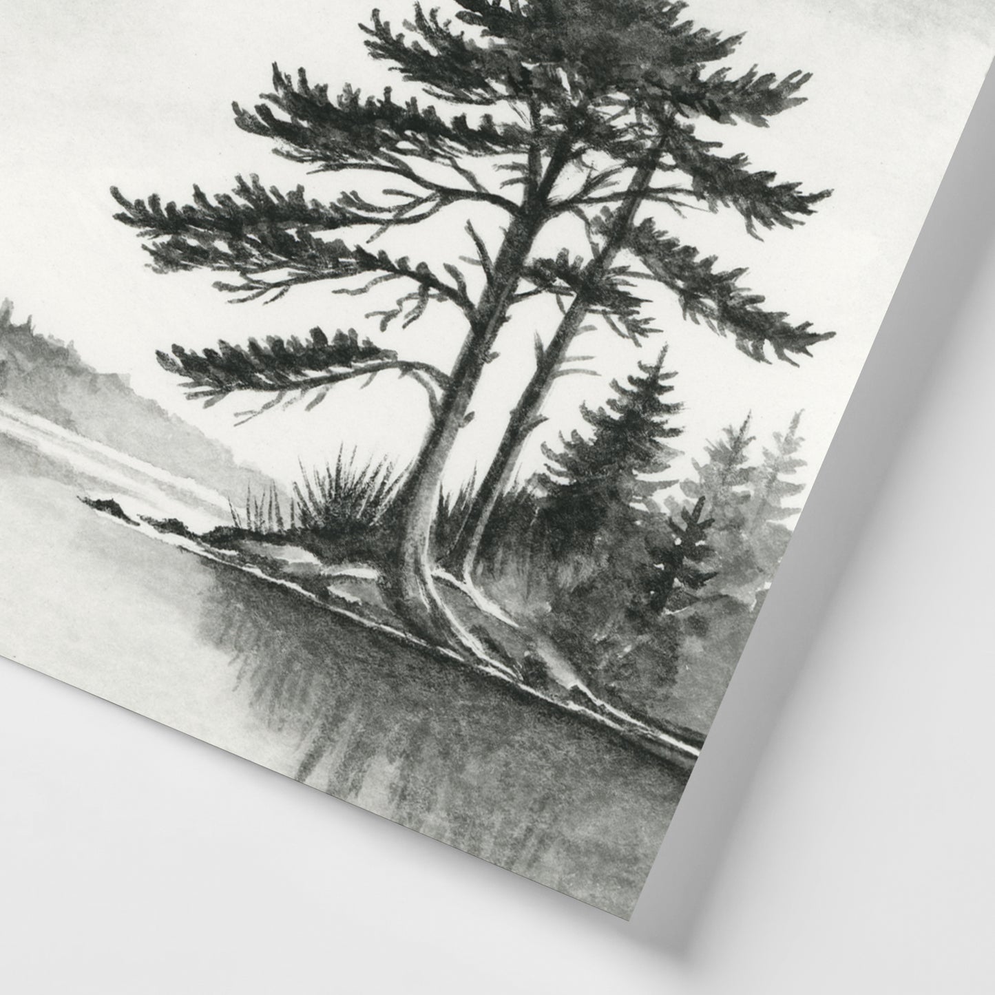 Black Cypress I - Mini
