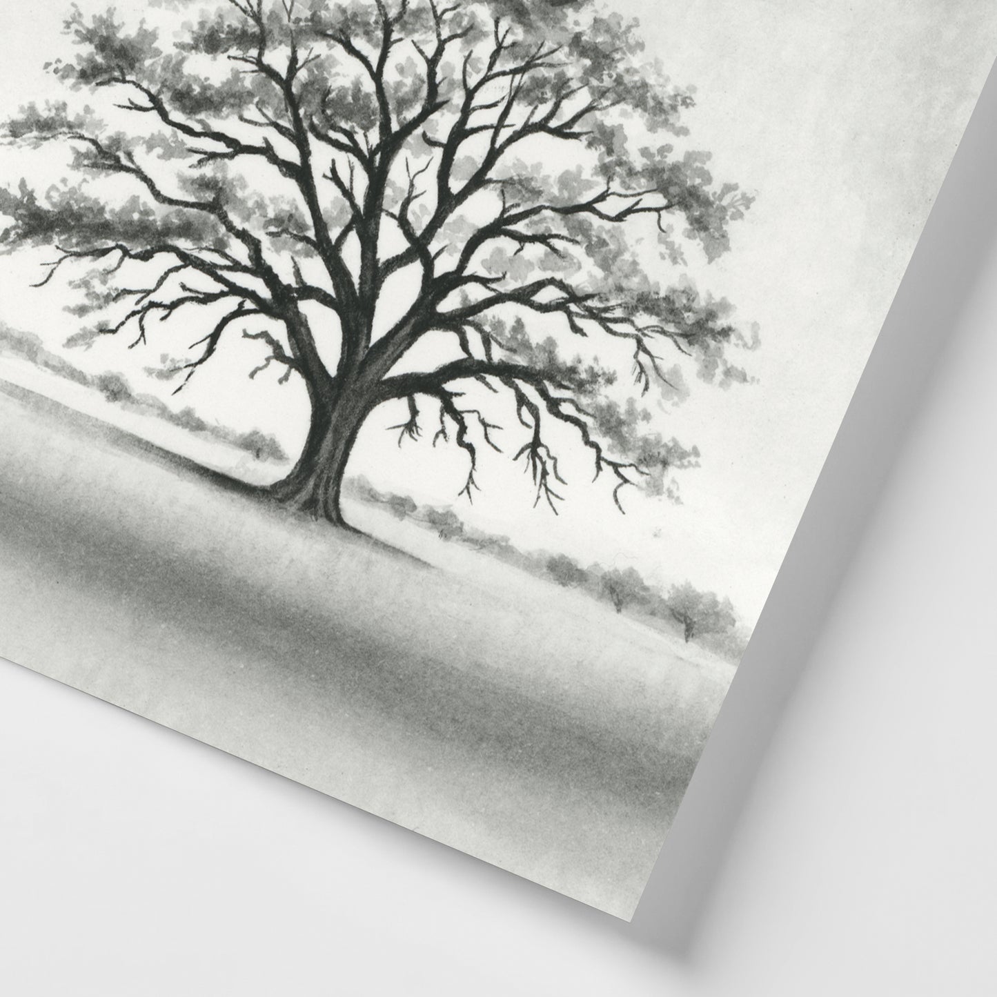 Black Oak Tree I - Mini