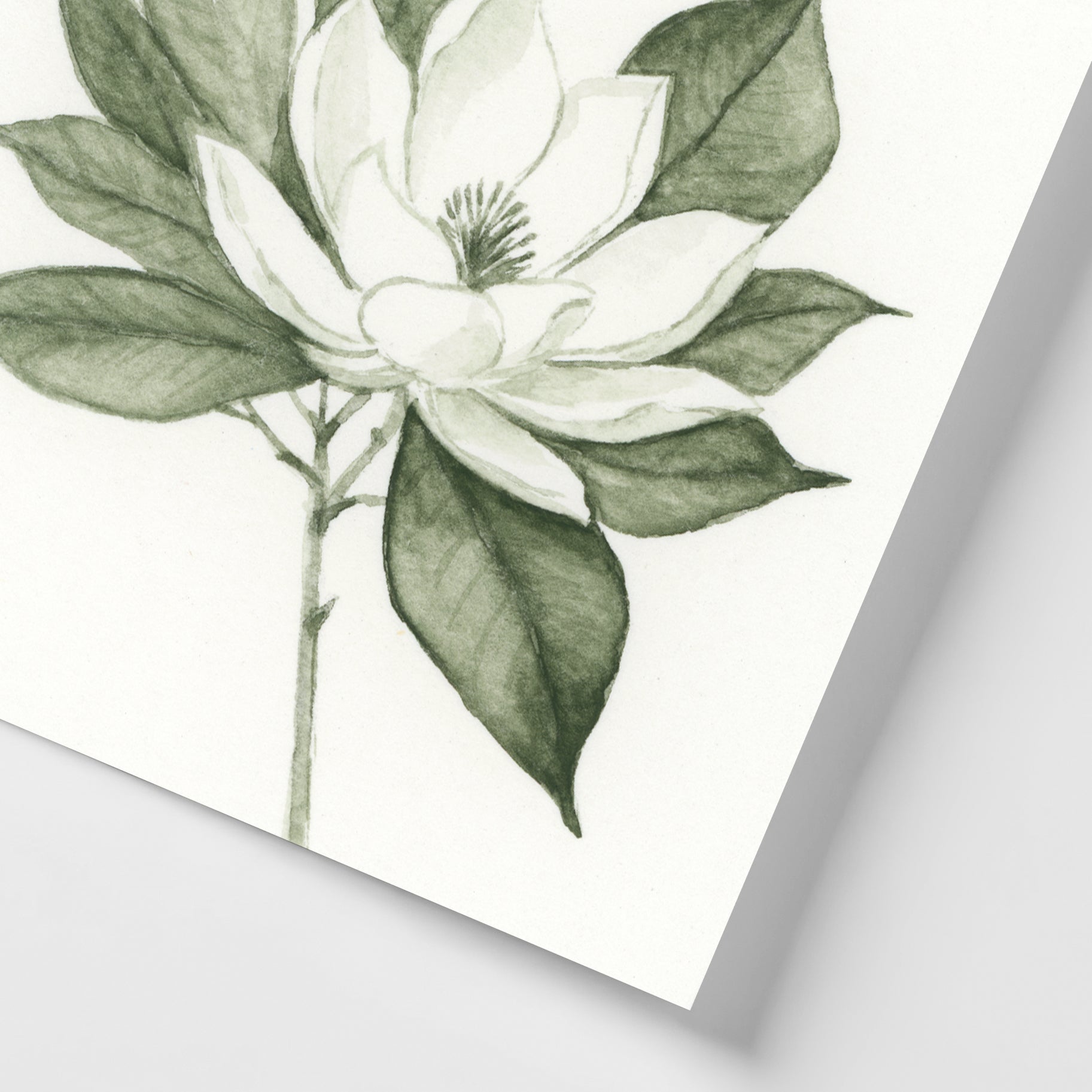 Magnoliaページ Green Magnolia I - Mini – Rachel Elise Art