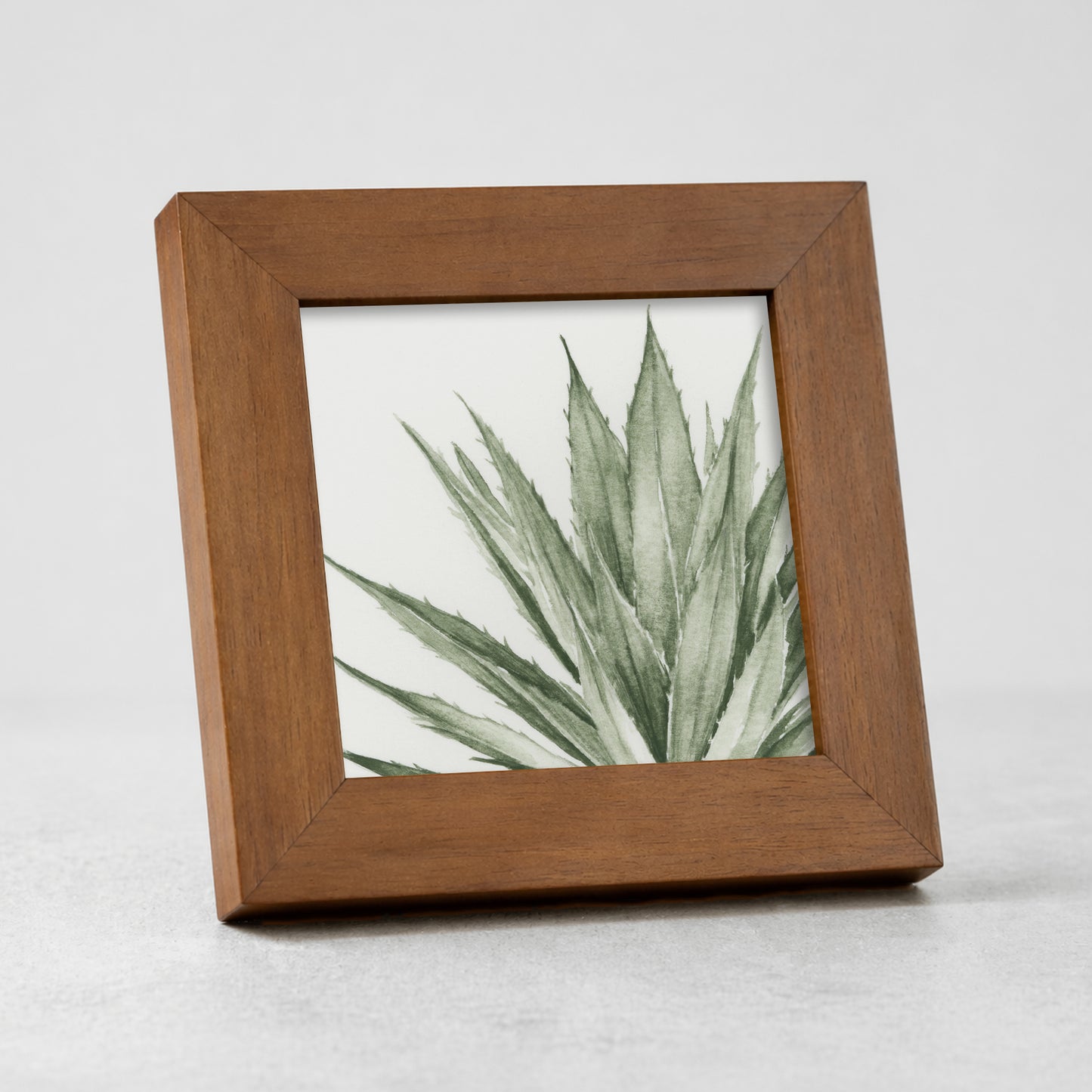 Green Agave I - Mini
