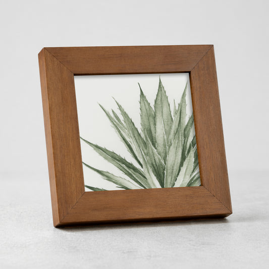 Green Agave I - Mini