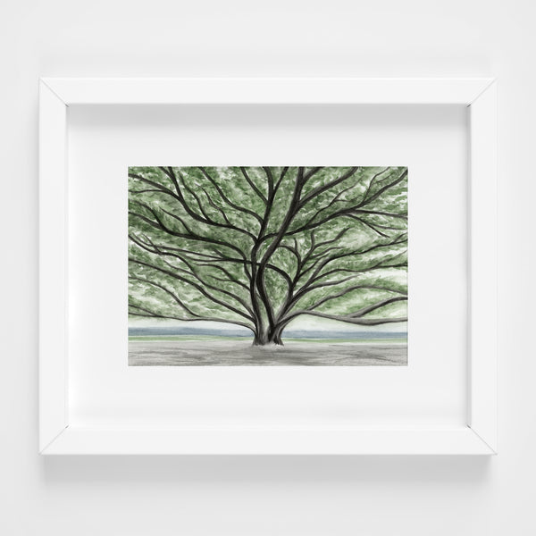 Banyan Tree Lahaina - Original Art 5x7
