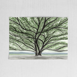 Banyan Tree Lahaina - Original Art 5x7