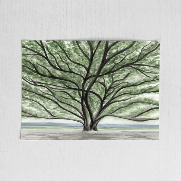 Banyan Tree Lahaina - Original Art 5x7