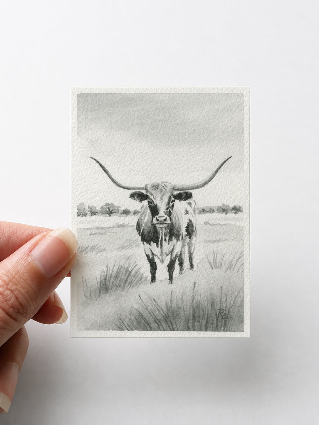 Longhorn Black II