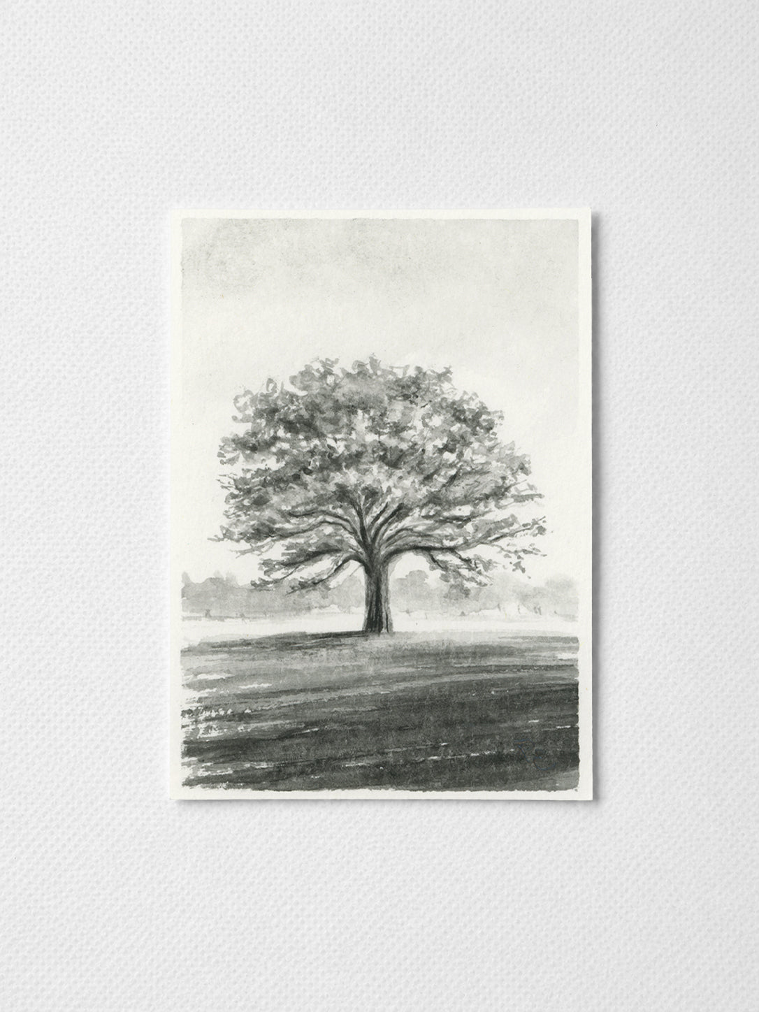 Oak Tree Black I