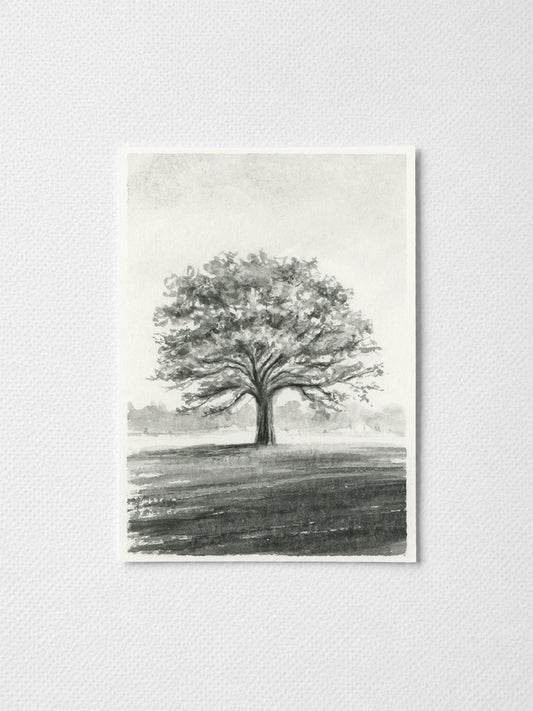 Oak Tree Black I