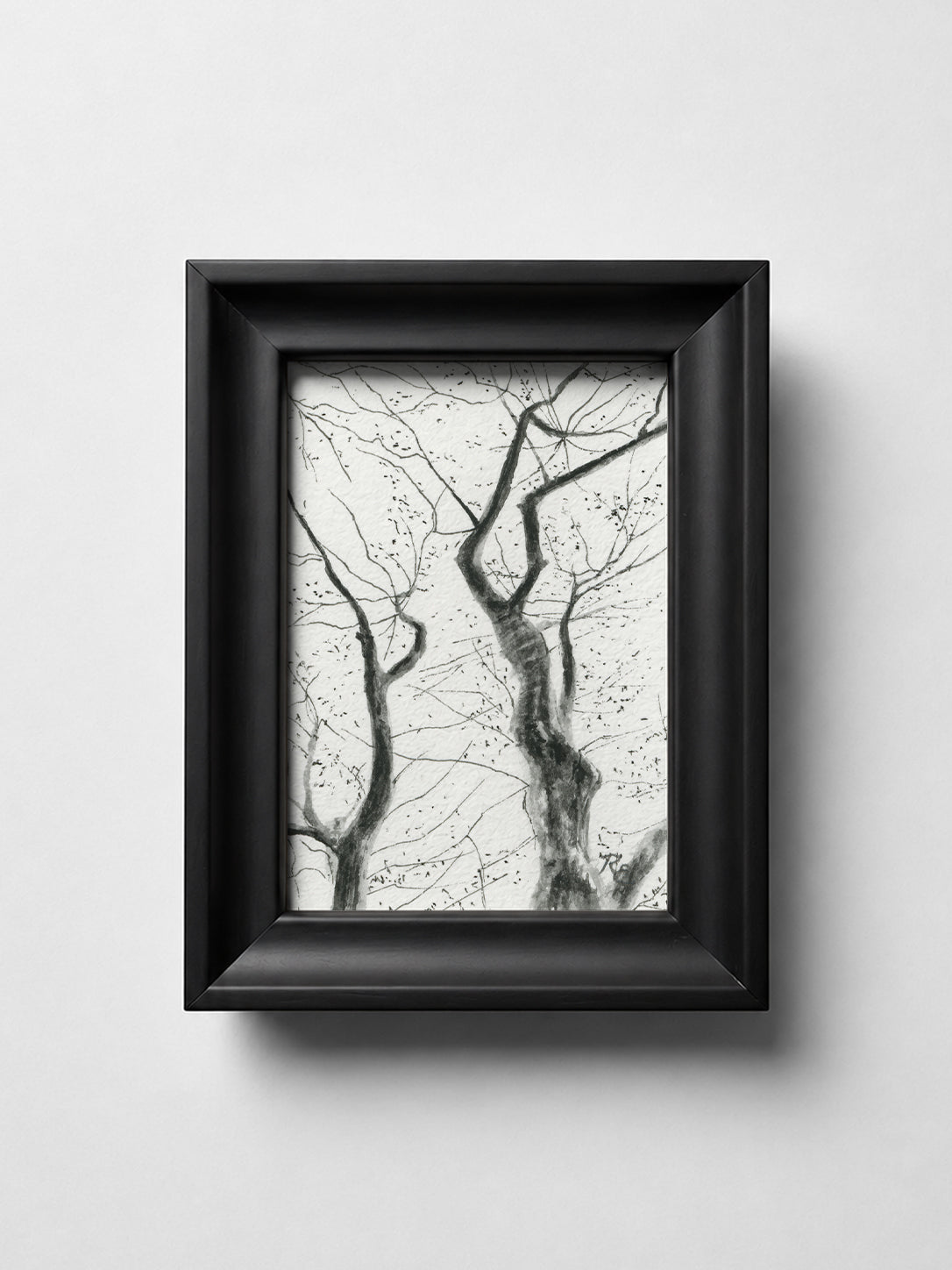 Tree Branches Black II