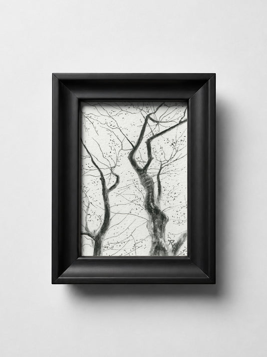 Tree Branches Black II